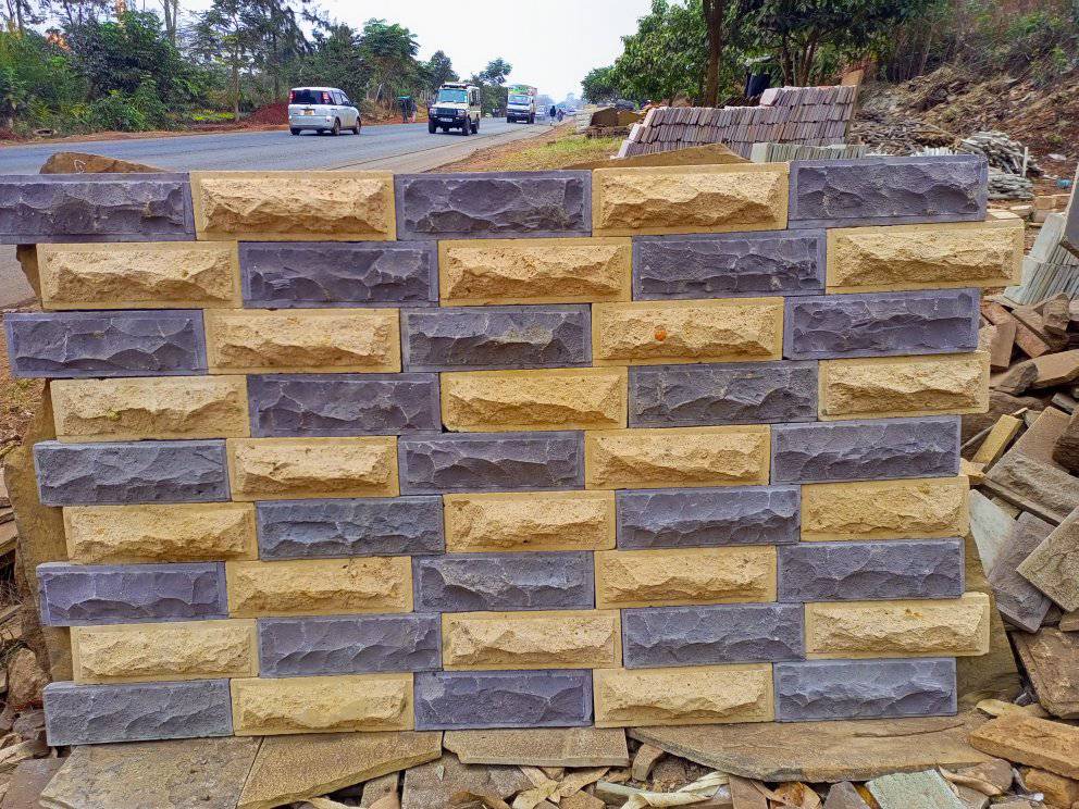 309868324 621574189671579 1668033124753227560 n