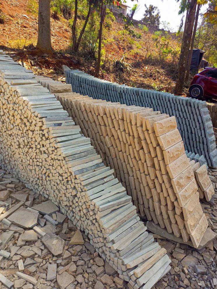 309951213 621574246338240 7789129341100664699 n