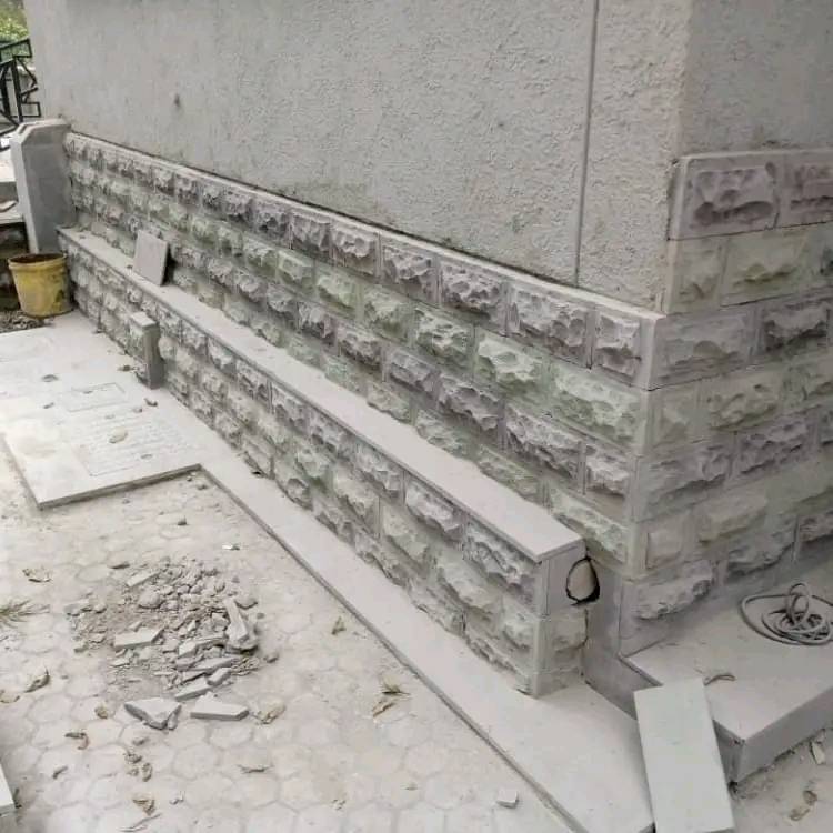 310056555 621573693004962 6057333531071289468 n