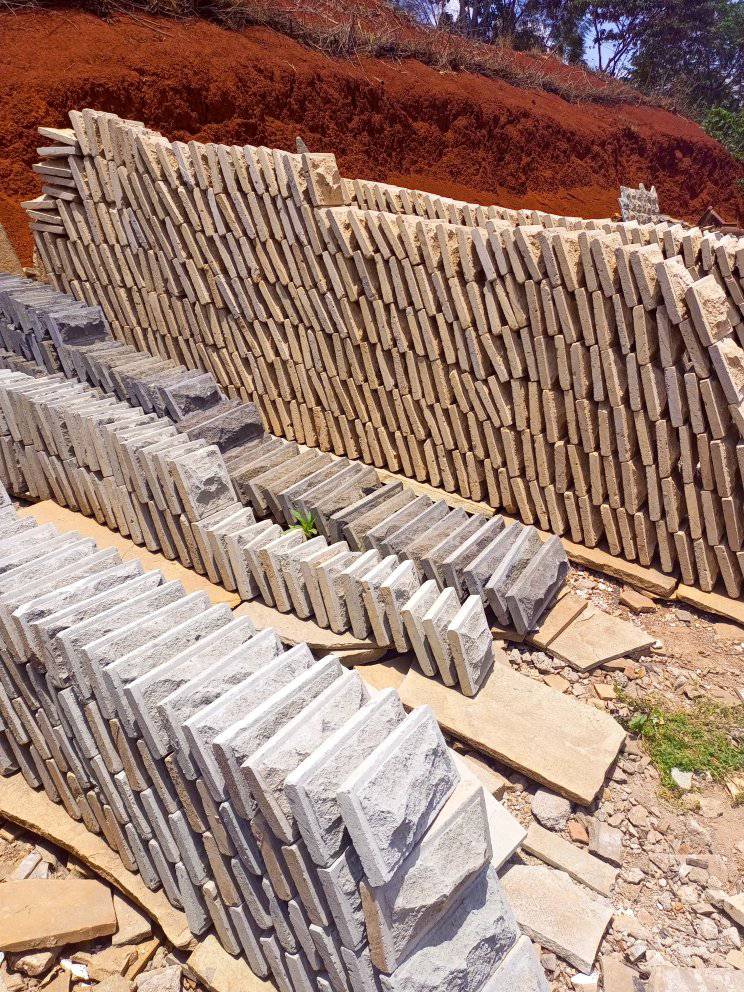 310148697 621574296338235 5136572320426687534 n