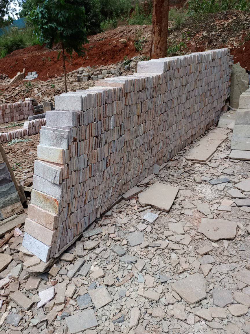 371536856 824692816026381 6345506491415397835 n